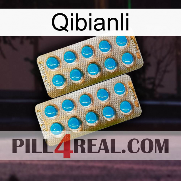 Qibianli new08.jpg